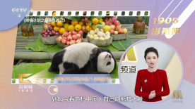 时间：2025.
